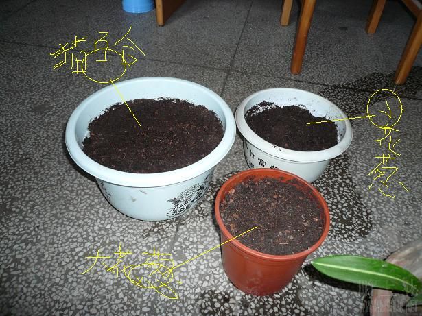 �����ֺõ���������