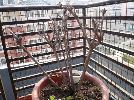 ���ڵ����¼�������