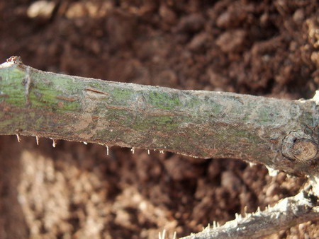 ����1,��������