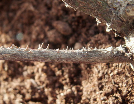 �����ǳ��ڻ�����