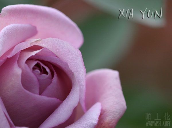 IMG_8131 ����.JPG