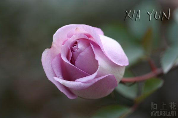 IMG_8157 ����.jpg