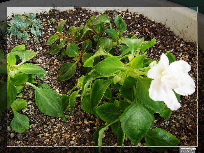 �׵Ŀ��˵�2��