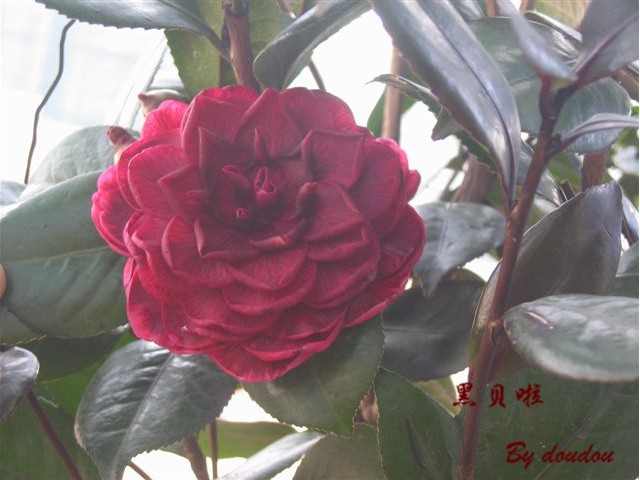 ���ǵ�һ��