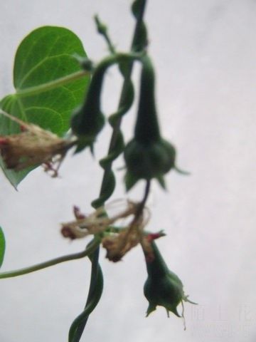 ������С 3.JPG