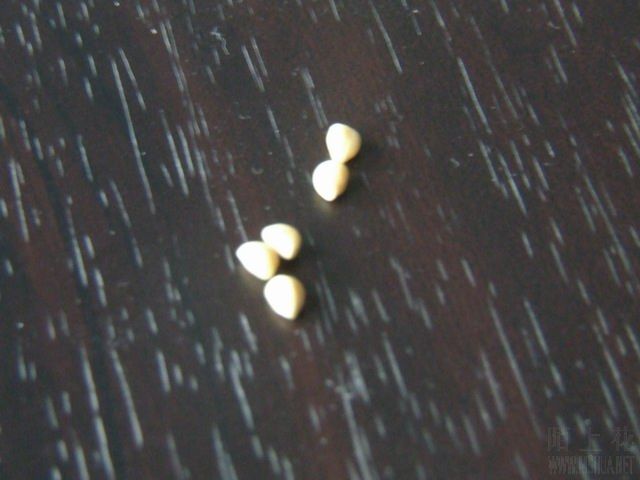 ������С 6.JPG