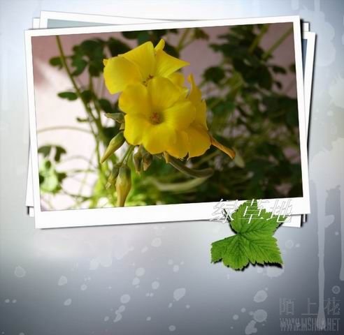 ������С P20070128-3.jpg