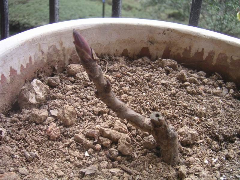 �ϸ��·����һ��