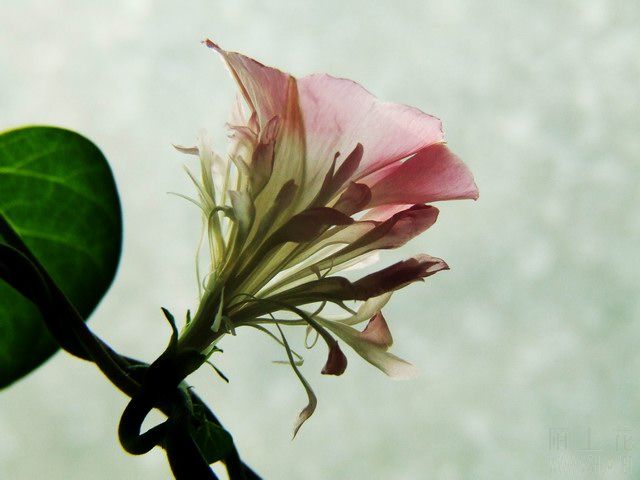 ������С ���ţ1.JPG