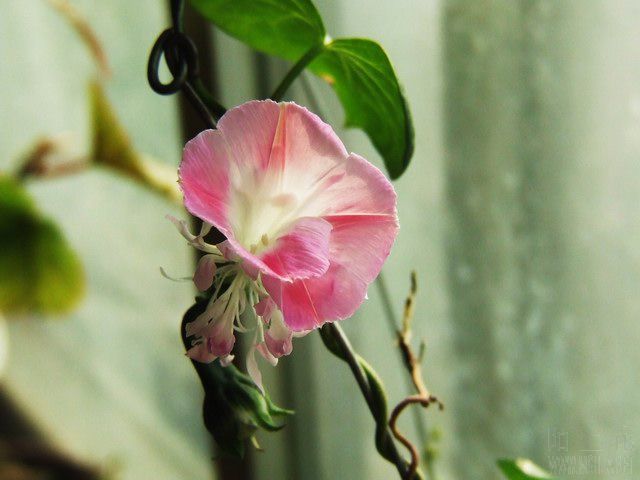 ������С ���ţ3.JPG