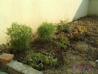 yady.net_0116875961398453.jpg