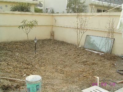 yady.net_0116875965754637.jpg