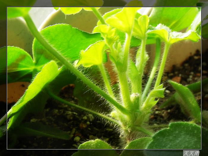 ժ�ĺ�ÿ��������4��5����֧