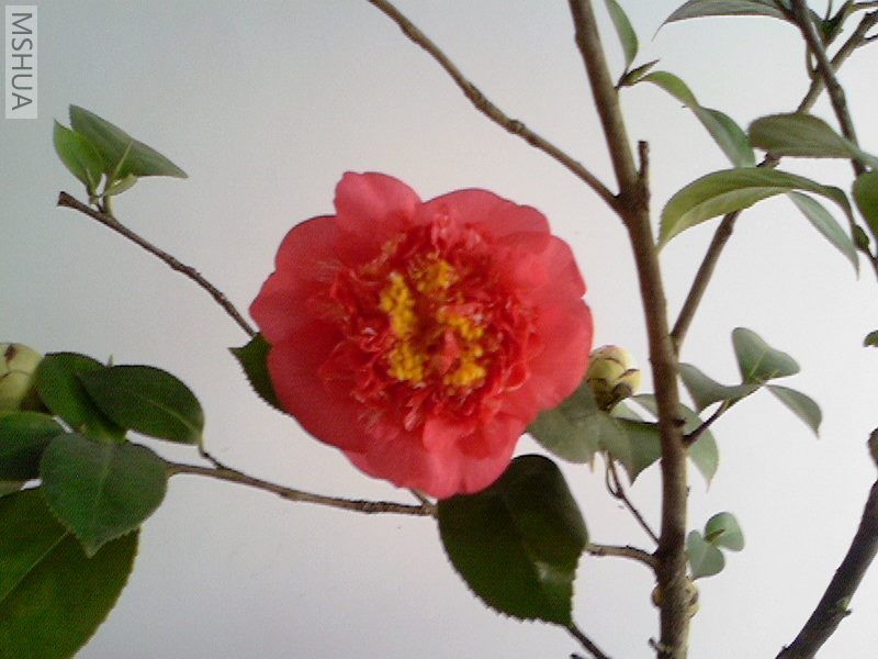 ��Ƭ-0011.jpg