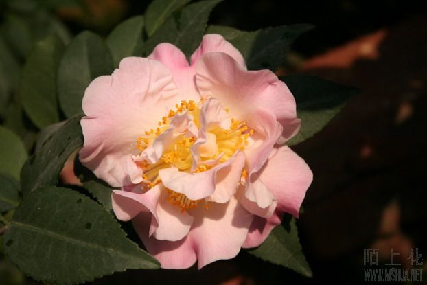 ��Ƭ 007_��С��С_��С��С.jpg