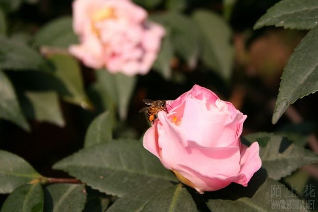 ��Ƭ 009_��С��С_��С��С.jpg