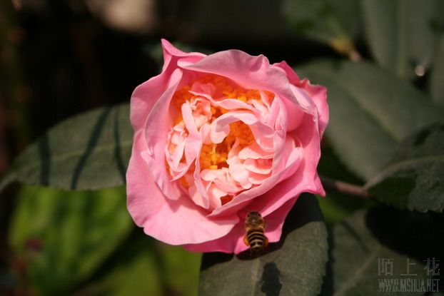 ��Ƭ 013_��С��С_��С��С.jpg