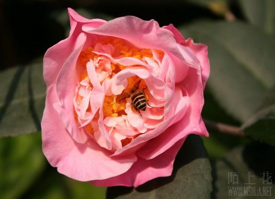 ��Ƭ 015_��С��С_��С��С.jpg