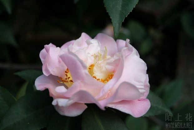 ��Ƭ 026_��С��С_��С��С.jpg