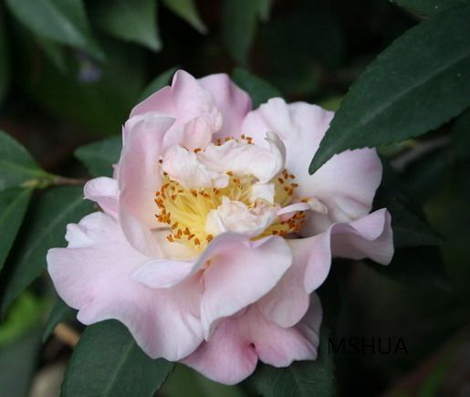 ��Ƭ 036_��С��С.jpg