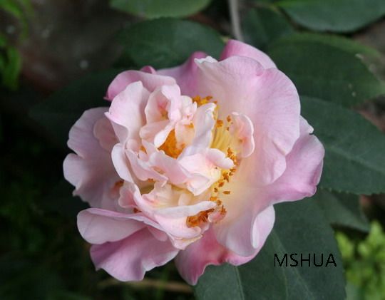 ��Ƭ 039_��С��С.jpg