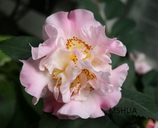 ��Ƭ 040_��С��С.jpg