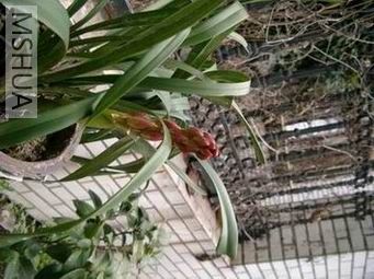��Ƭ20070218 025.jpg