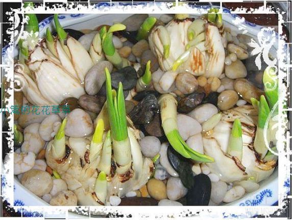 ��������ϣ���ˮ�С�