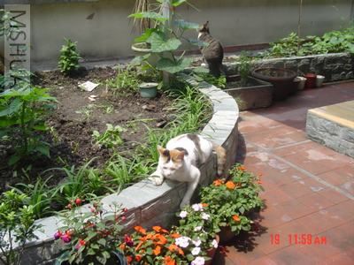 ���Ż�̳�����ֵľ²�