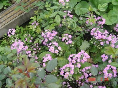 ȥ���Ժ�����