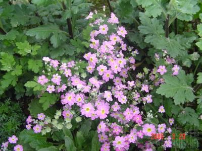 ȥ���Ժ�����