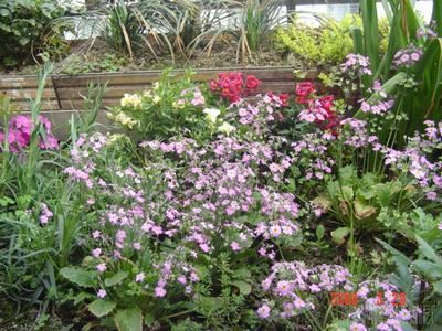 ȥ���Ժ�����