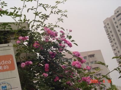 DSC05614.JPG