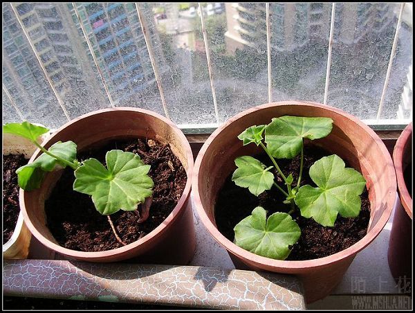 ���û����ġ�����