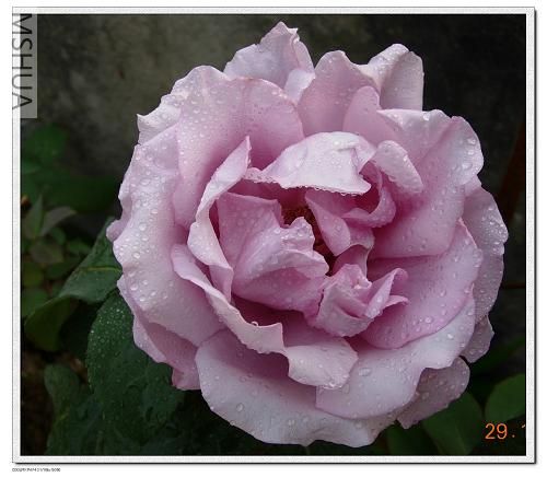 DSCN2149.jpg