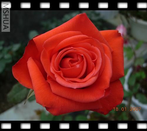 DSCN2285.jpg