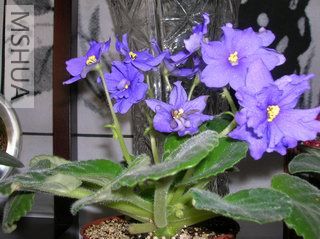 DSCN4158.JPG