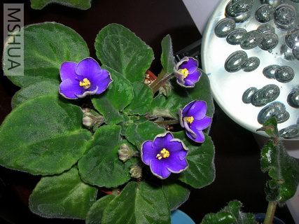 DSCN4162.JPG