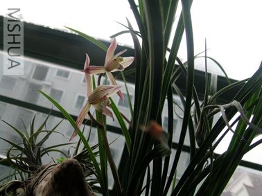 DSCN6814.jpg