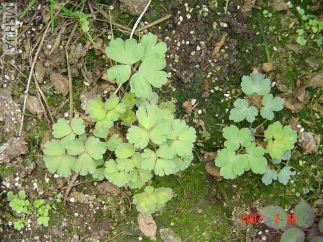 ȥ�껨����ﶷҲ��������ѿ��