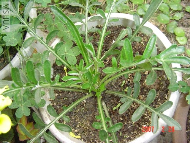 ѫ�¾գ��Ѿ��л�ѿ��