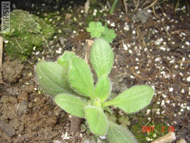 ȥ�꿪��һ���ĺ��ľշ�ѿ��