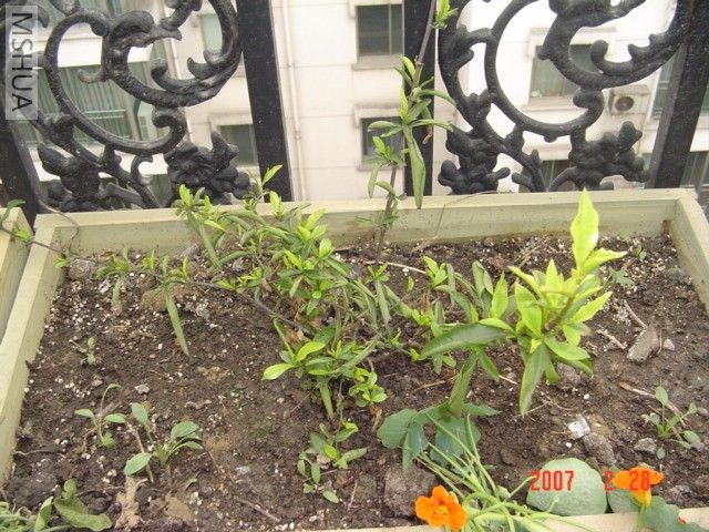 ȫ�꣬�Ա��Ǹող�ĺ���������û�л�����