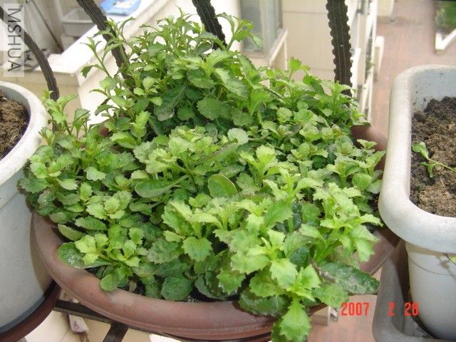 ������õ�С��