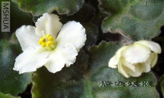 ���ǵ�1�ο��Ļ����ǵ���ģ���䣿��