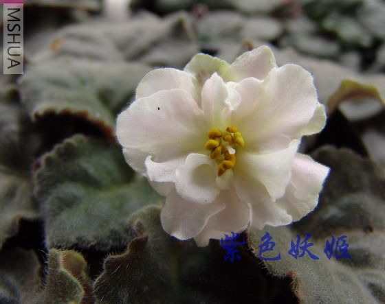 ��2�ο��Ļ����ذ�ģ�