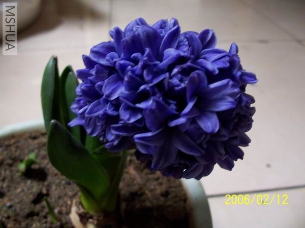 ������4 100_4031.JPG