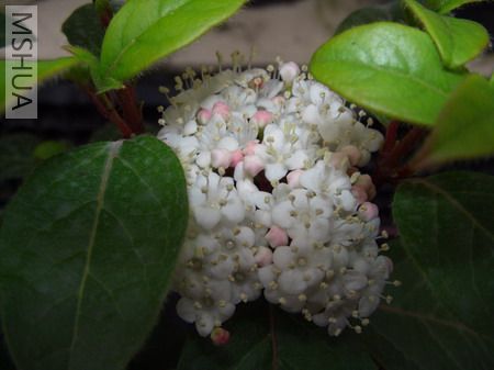 ���к�����(070225)03.JPG