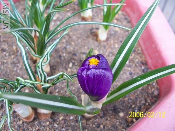 ������С 100_4047.JPG