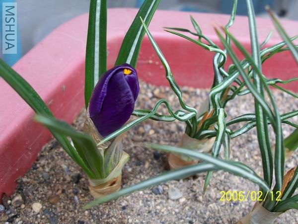 ������С 100_4033.JPG